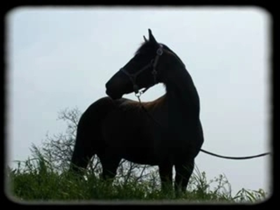 Understanding the Definition