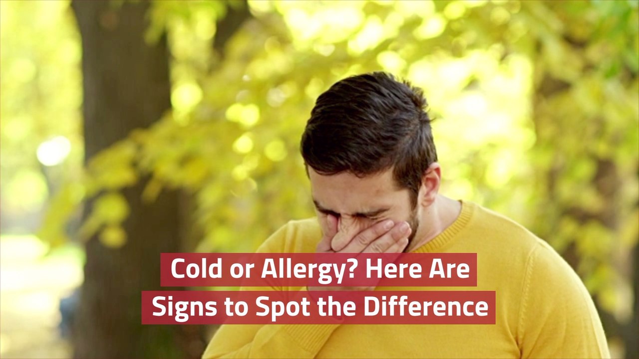 The Difference Between Cold And Allergy
