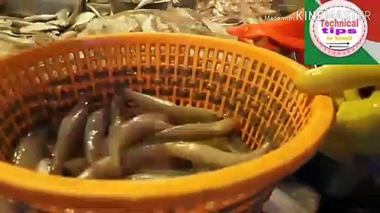 Coronavirus Kya Hai? 🦠