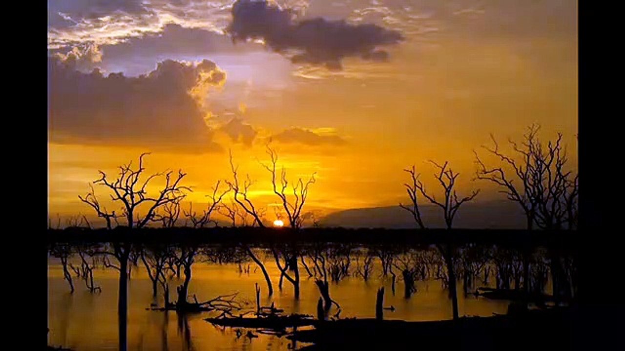 Yala National Park Leopard ID project