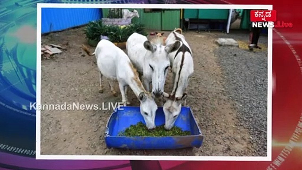 Haaduva Katte: The Singing Shelter 🎶