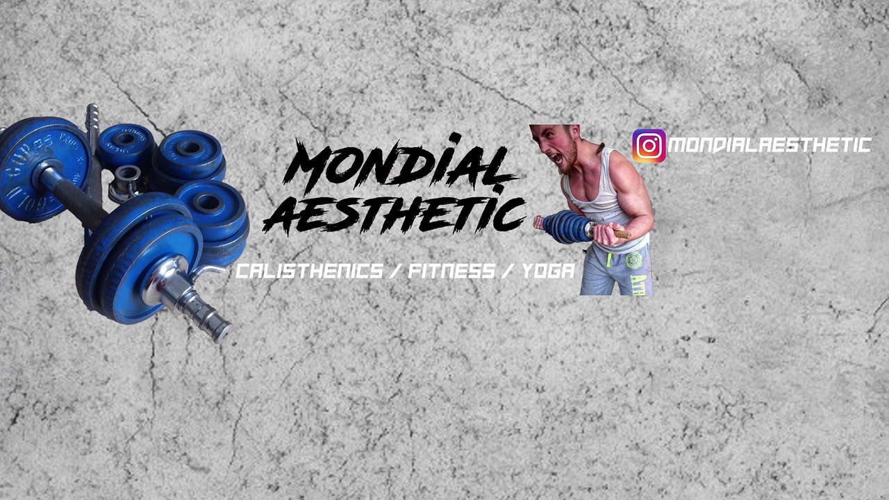 Back Lever - Calisthenics