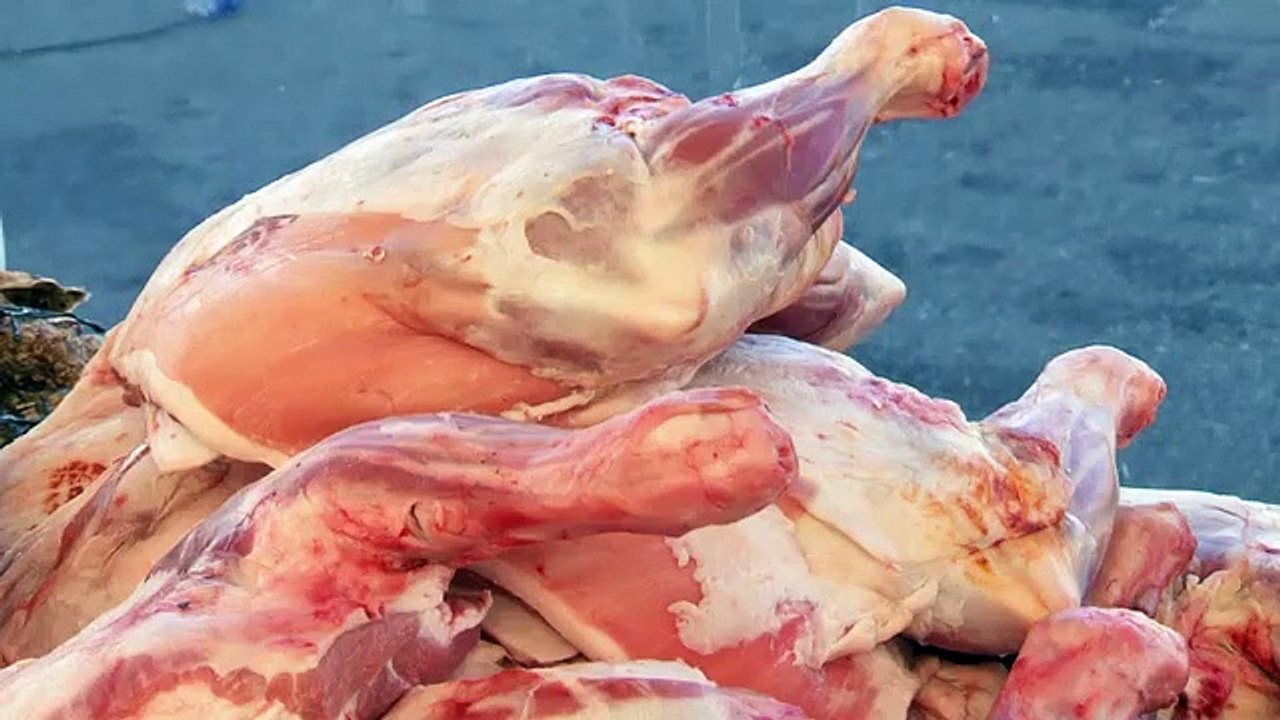 Celebrity MasterChef  S14E15 - Celebrity MasterChef  S14E15