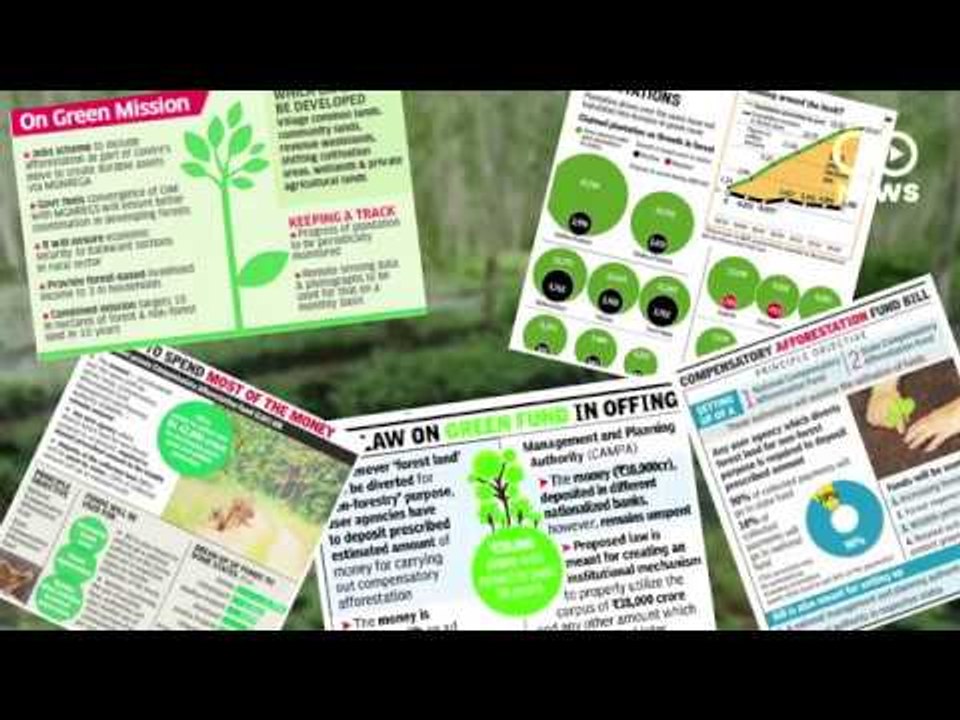 Forest Dwellers Losing Forest