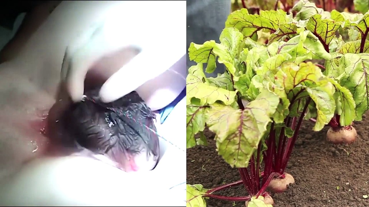 NONSELVES (John Sanborn & Jean-Jacques Birgé)