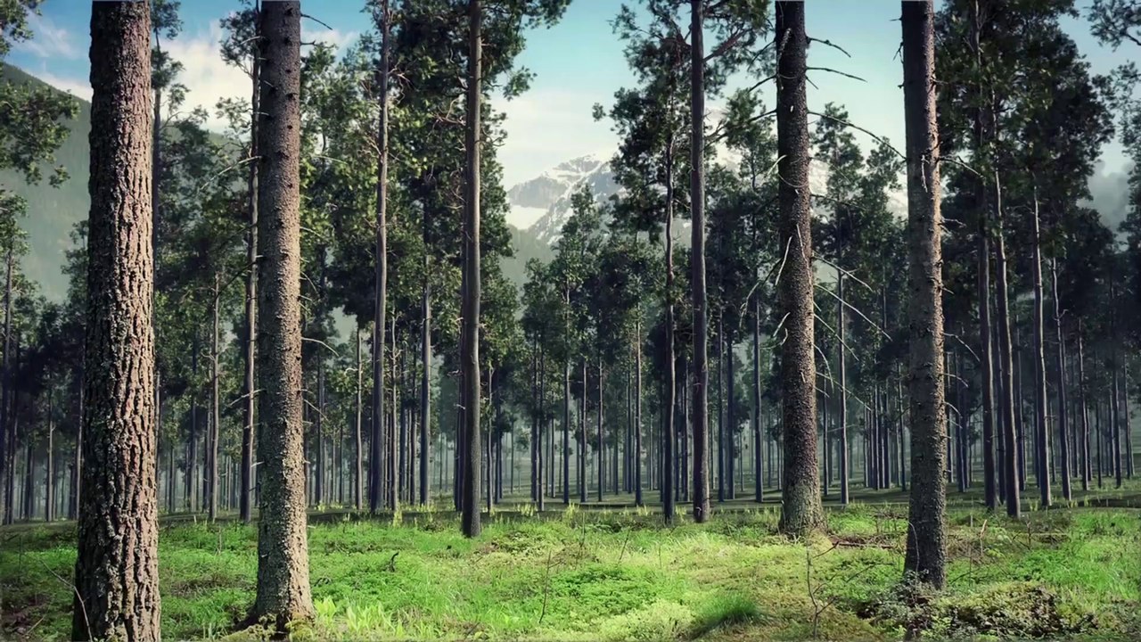 Arise4Nature | Southeast Asian Haze