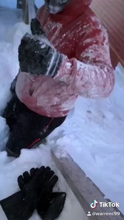 Snowed In in St. John's