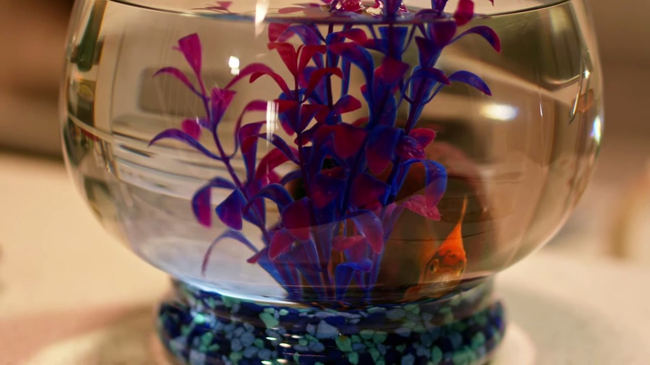 The Office Mix-Up Movie