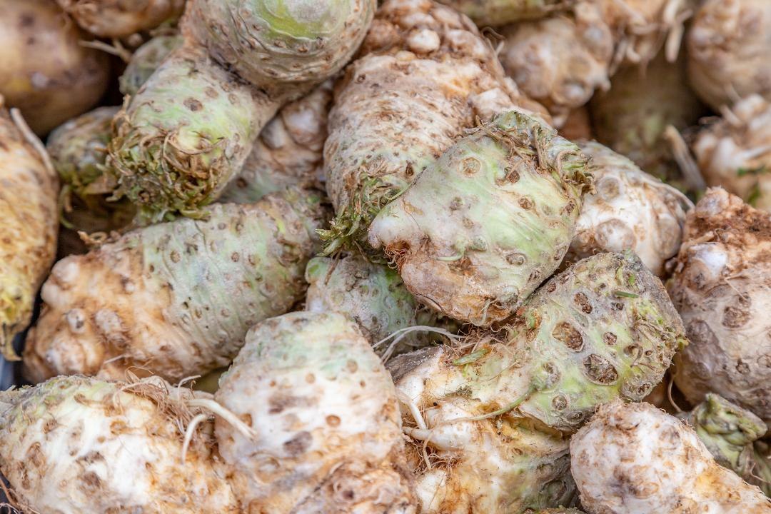 Celeriac: What Is It and What Does It Taste Like?
