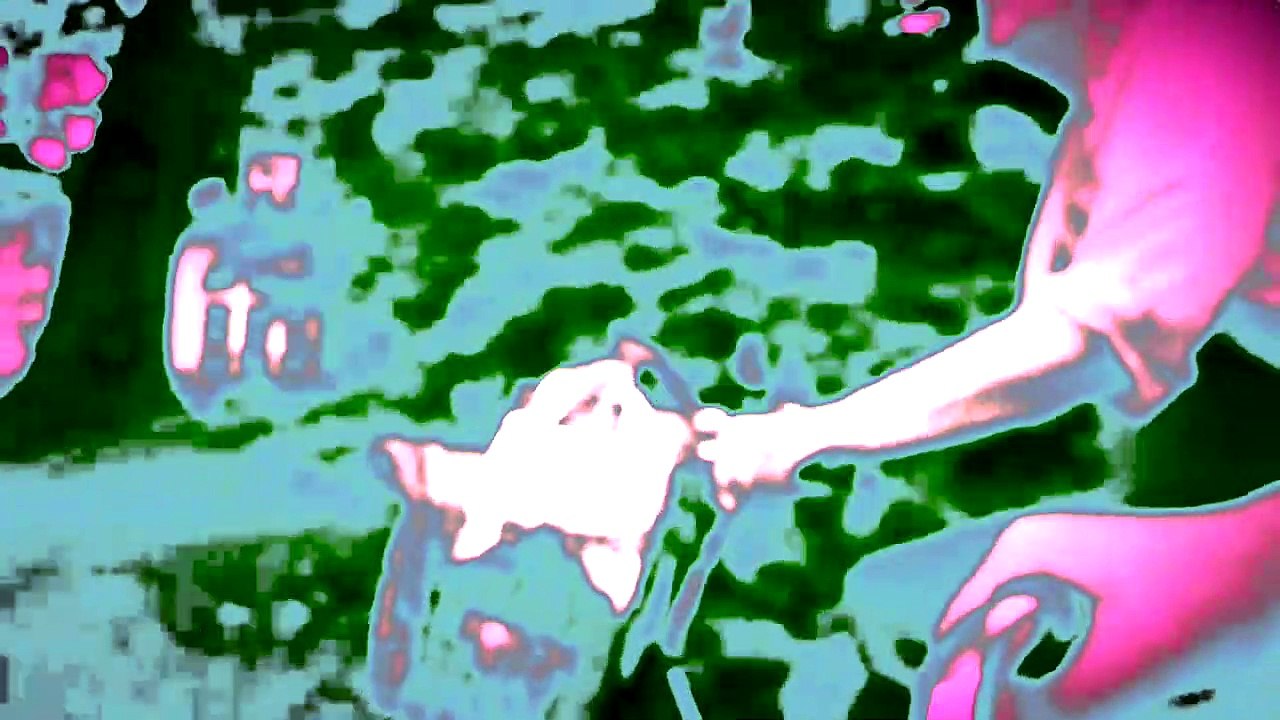 To cycle is to refuse to contribute to air pollution