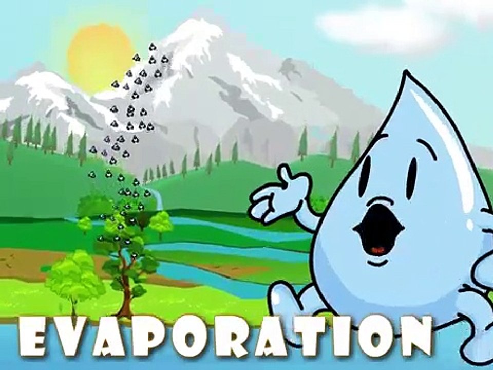 Best Video Explanation for Water Cycle