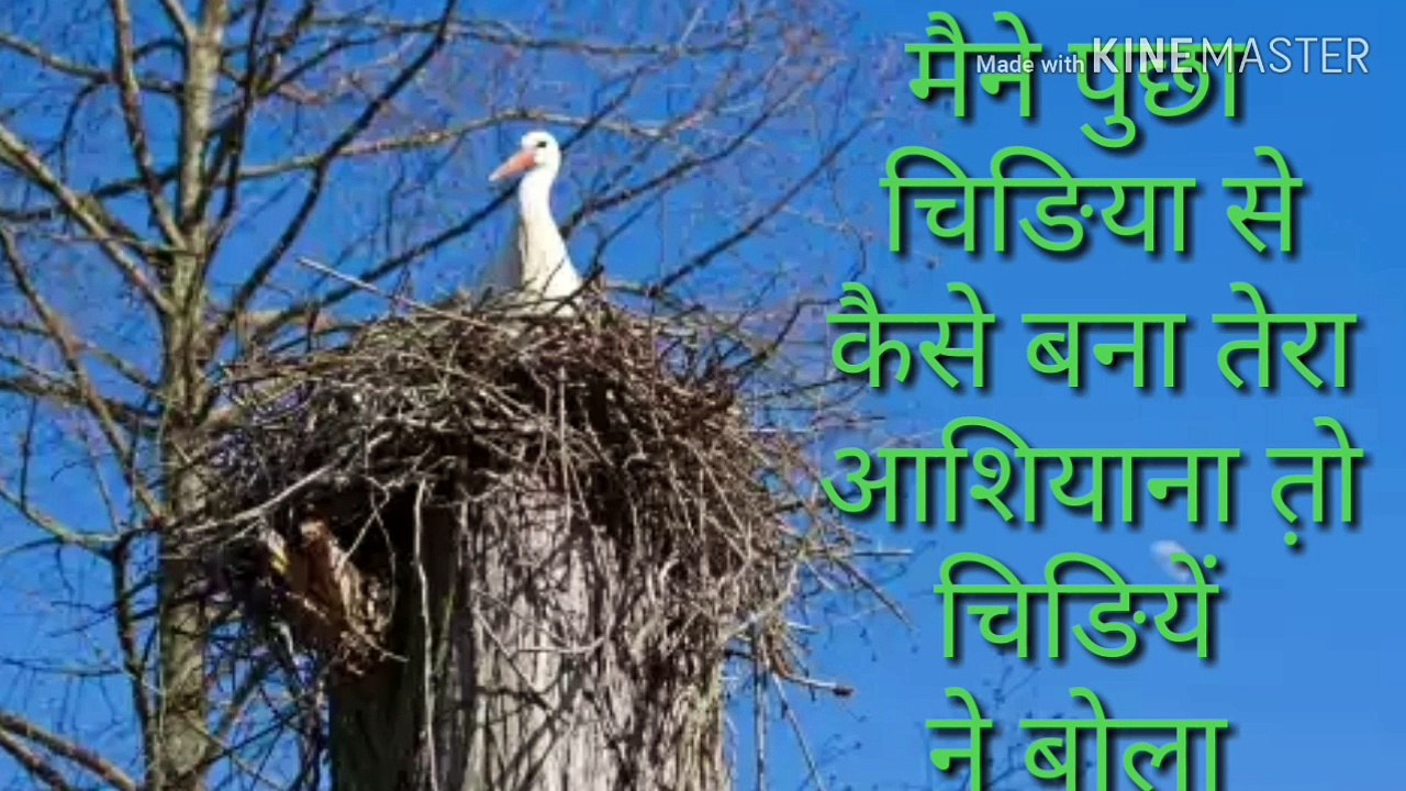 Motivational Sayari for Inspiration ✨