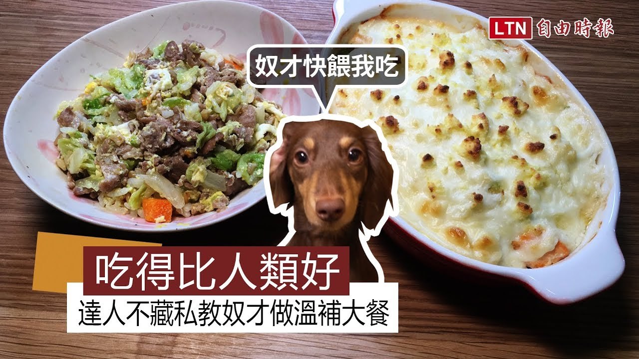 吃得比人類好！達人不藏私教奴才做溫補大餐！