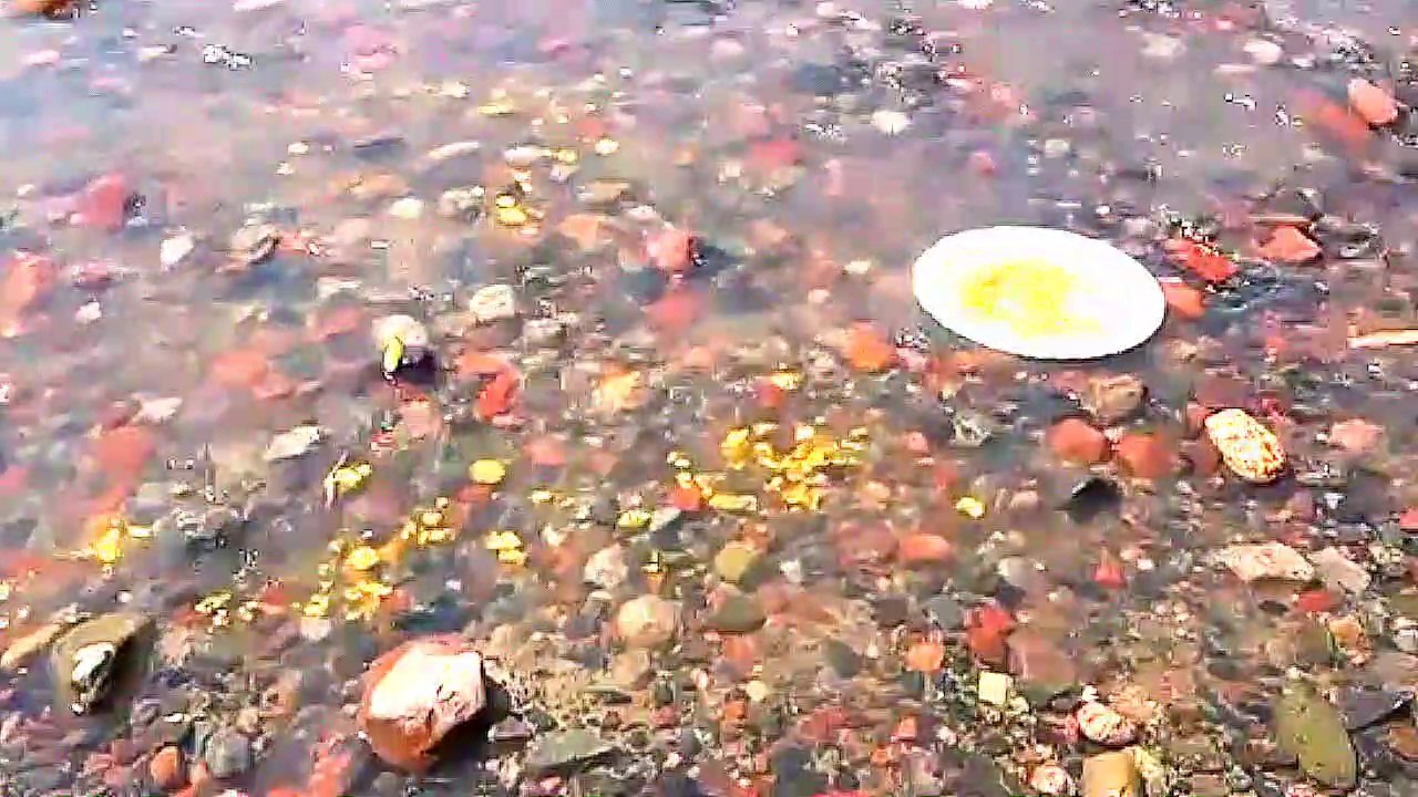 Gold  & Gold  part 2