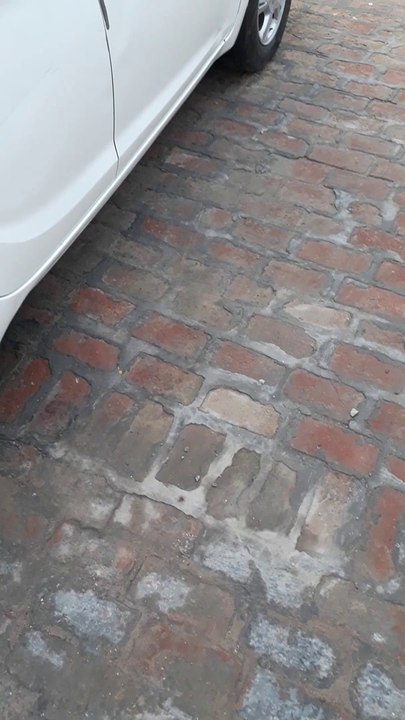 how to check chesis number in our cat