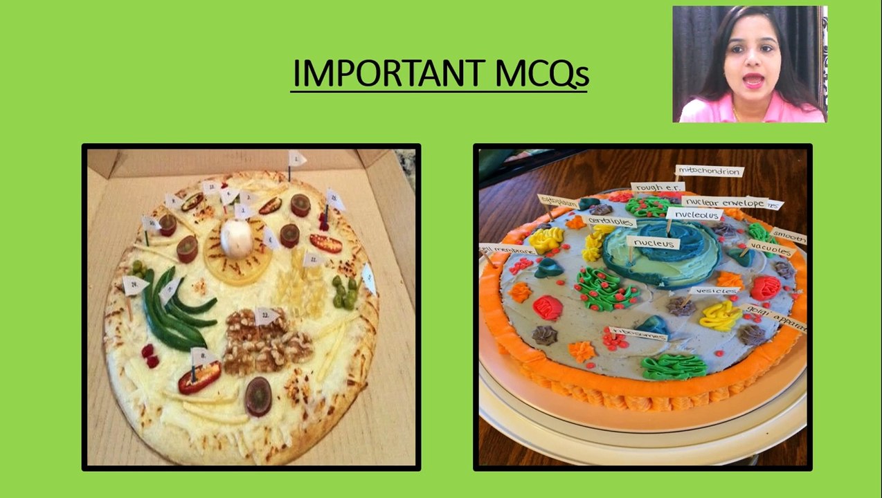 Cell - Important MCQs