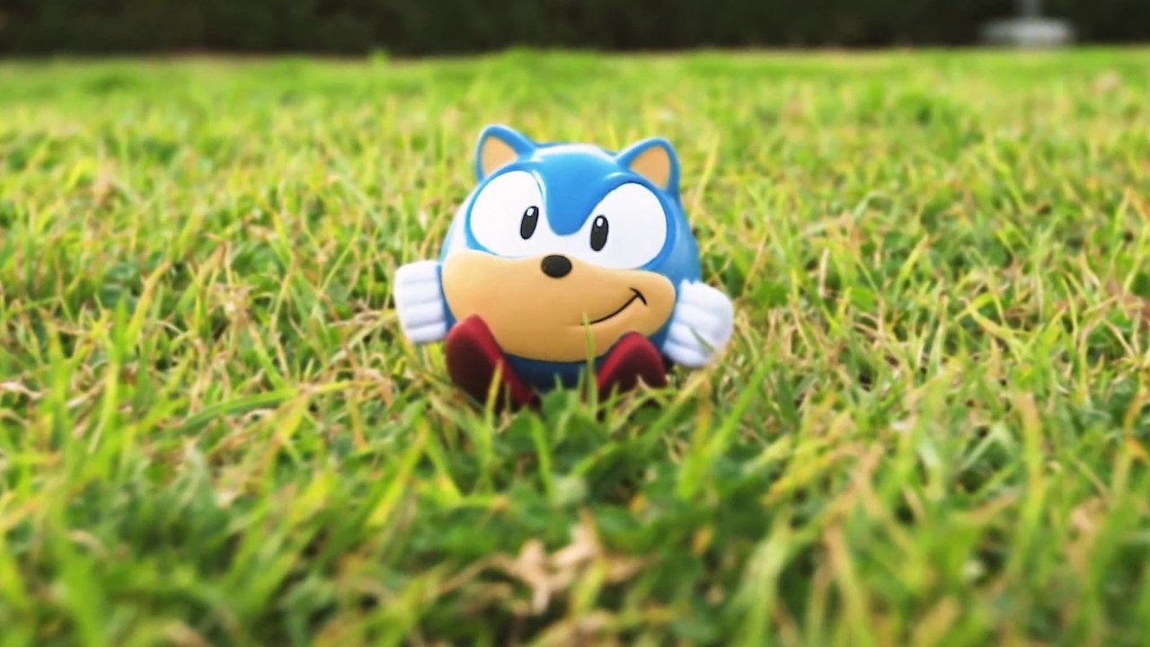 Blue Hedgehog Documentary: Hunter & Prey