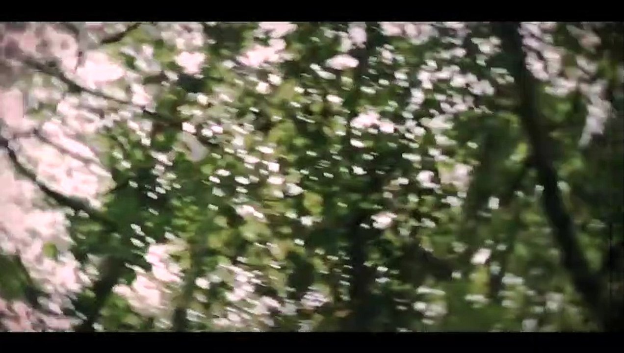 Hashtag Film Trailer 🎬