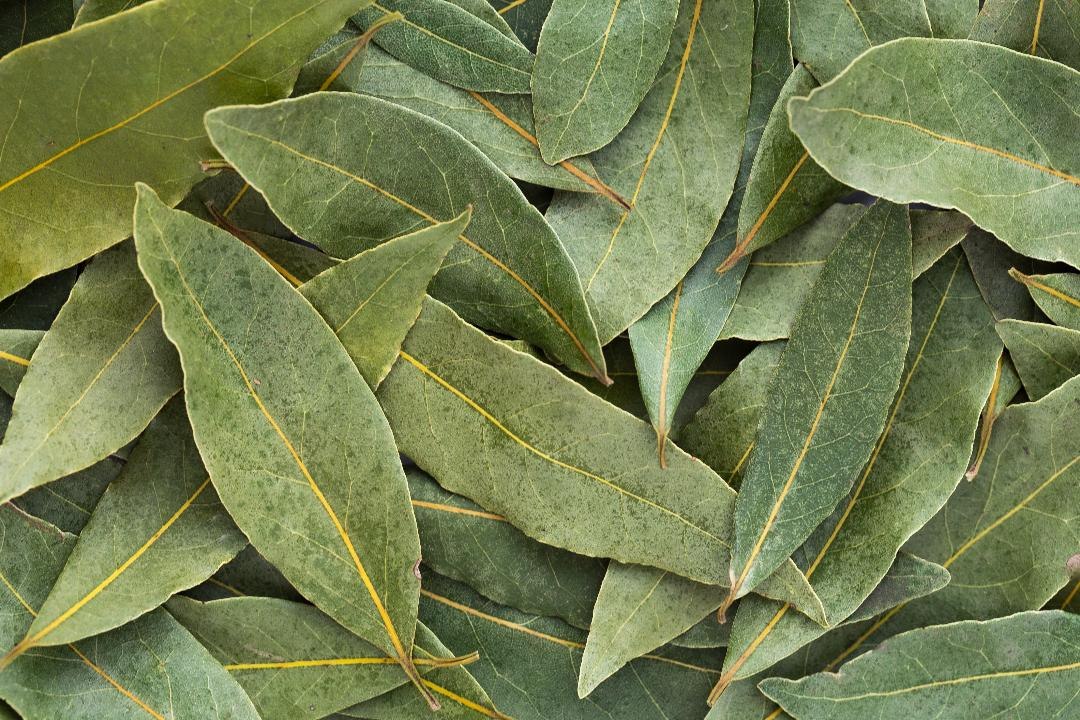 What Are Bay Leaves—And Do They Really Do Anything?
