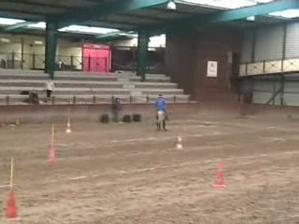 Ronchin 10.02.08 Cartons