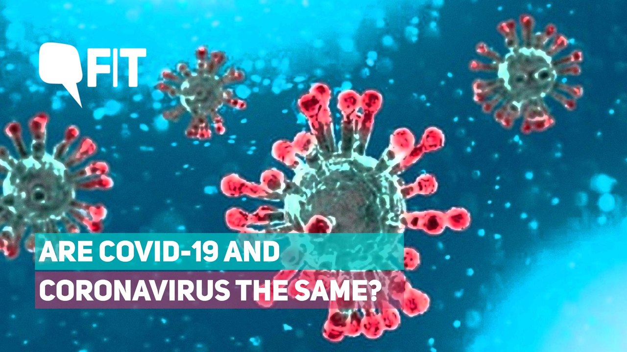 What is the Difference Between COVID-19 and Coronavirus?