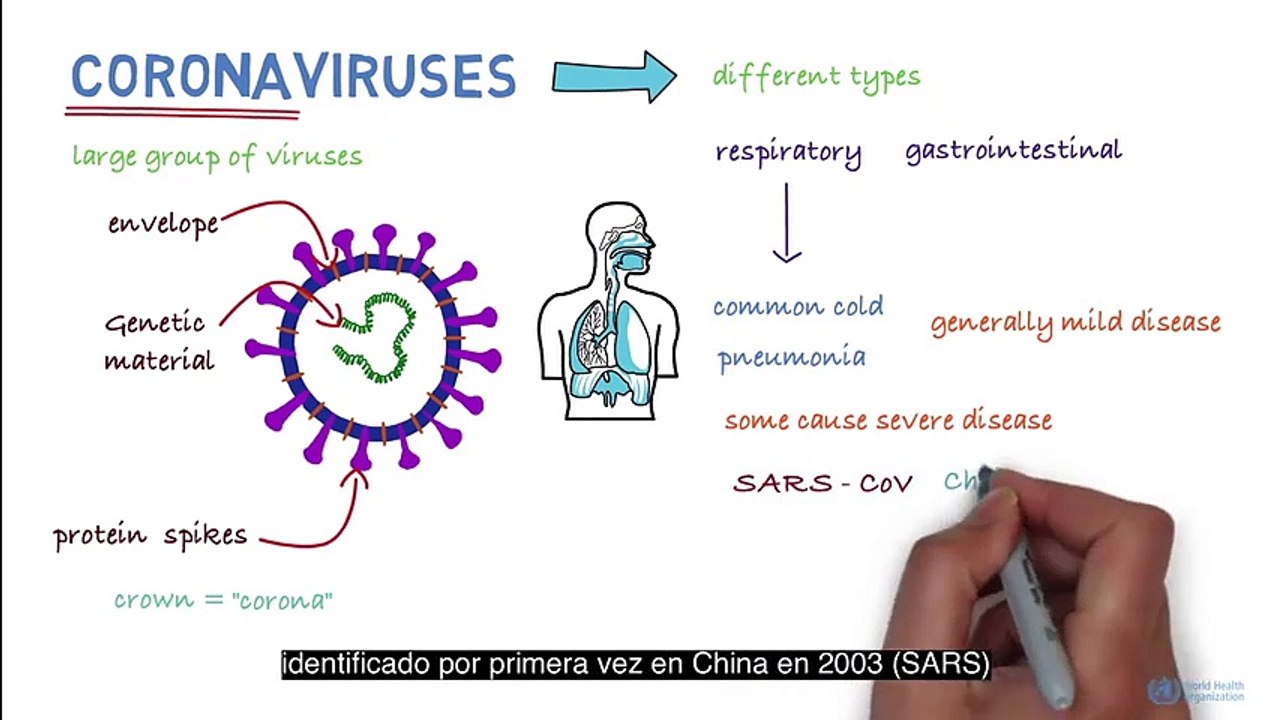 Descubre cuánto sabes sobre este nuevo tipo de coronavirus.