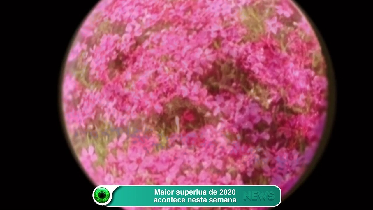 Maior superlua de 2020 acontece nesta semana