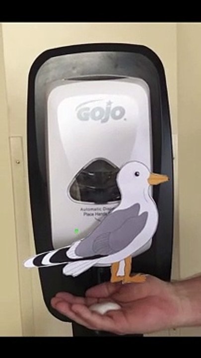 Seagull Hand Sanitizer Goof