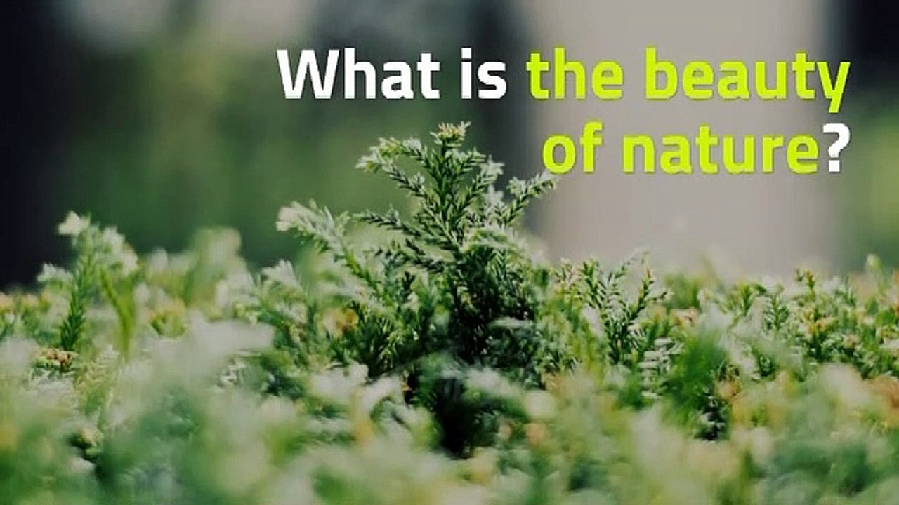 Understanding Nature 🌿