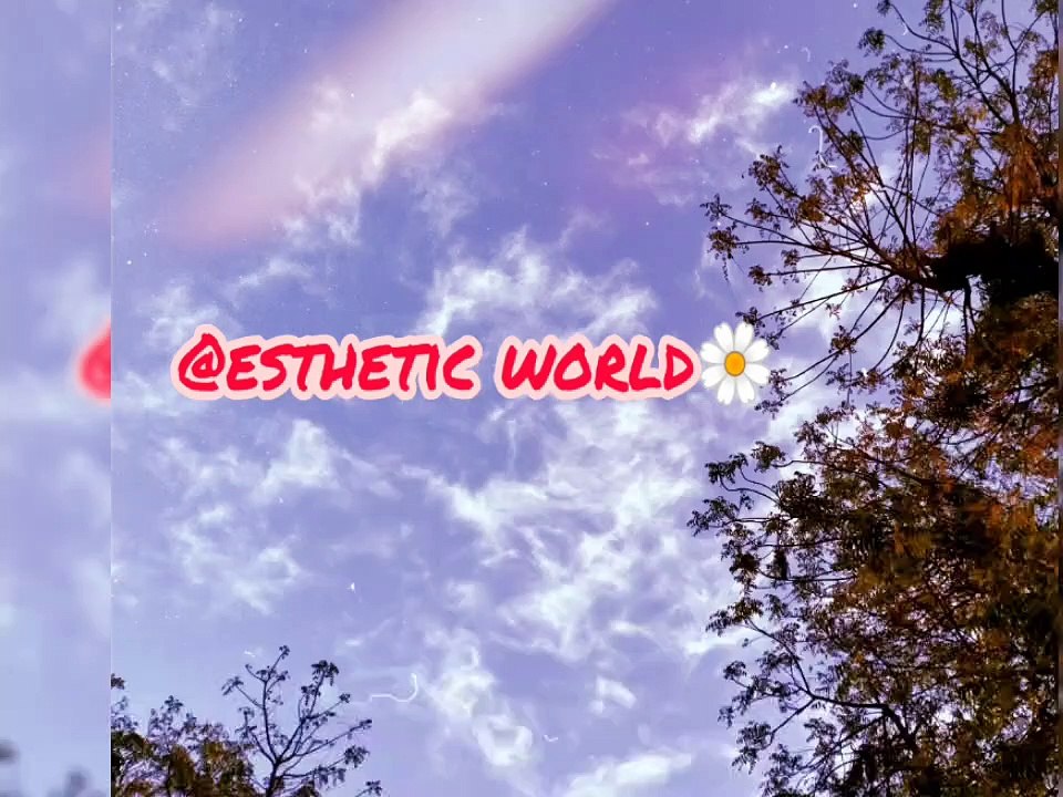 Aesthetic quotes, aesthetic captions.