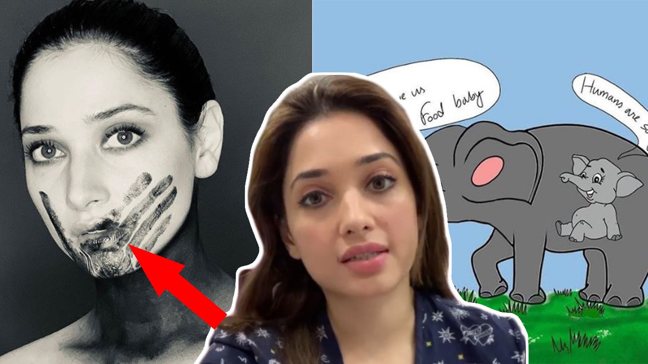 Tamannah Bhatia Topless Protest | #AllLivesMatters • Kerala Pregnant Elephant • Blacks