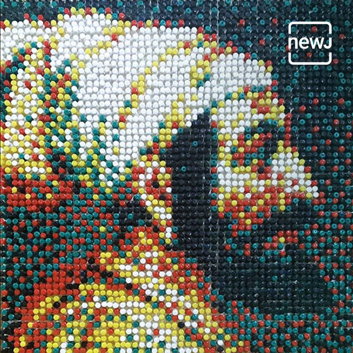 Artist Makes Portrait Of Chhatrapati Shivaji Maharaj With Pushpins