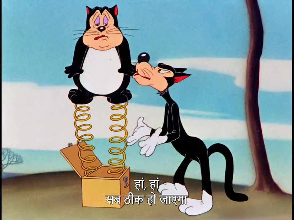 Classic Cartoon_लूनी ट्यून्स - दो बिल्लियों की कहानी (हिंदी उपशीर्षक).