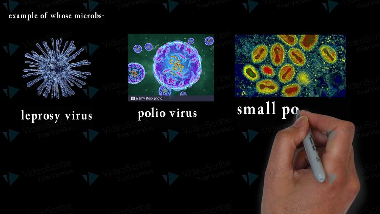 Why we need to extinct some species?