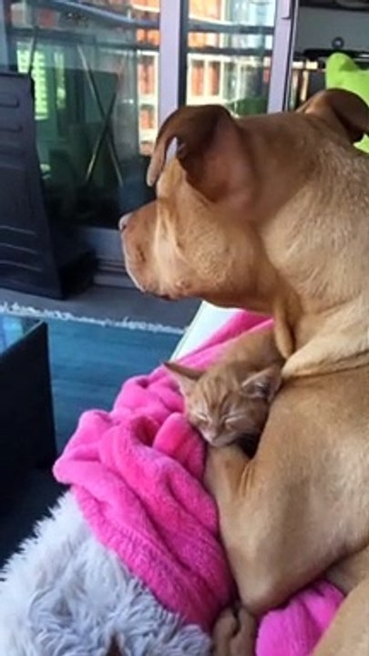 Cute Cuddles Between Best Friends