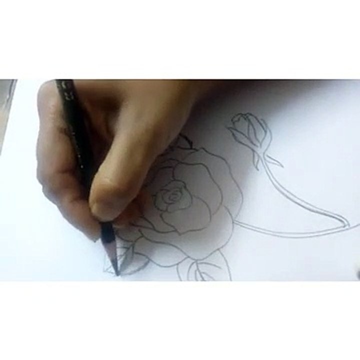 Rose flower Drawing Step by step