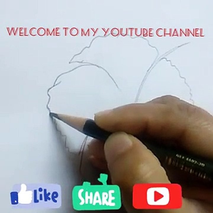 Hibiscus flower Drawing Step by step