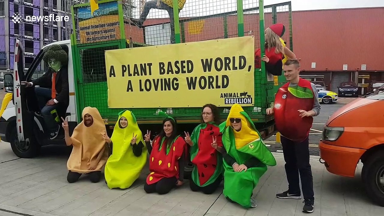 UK farmers come together in tractor protest at Parliament over post-Brexit food standards