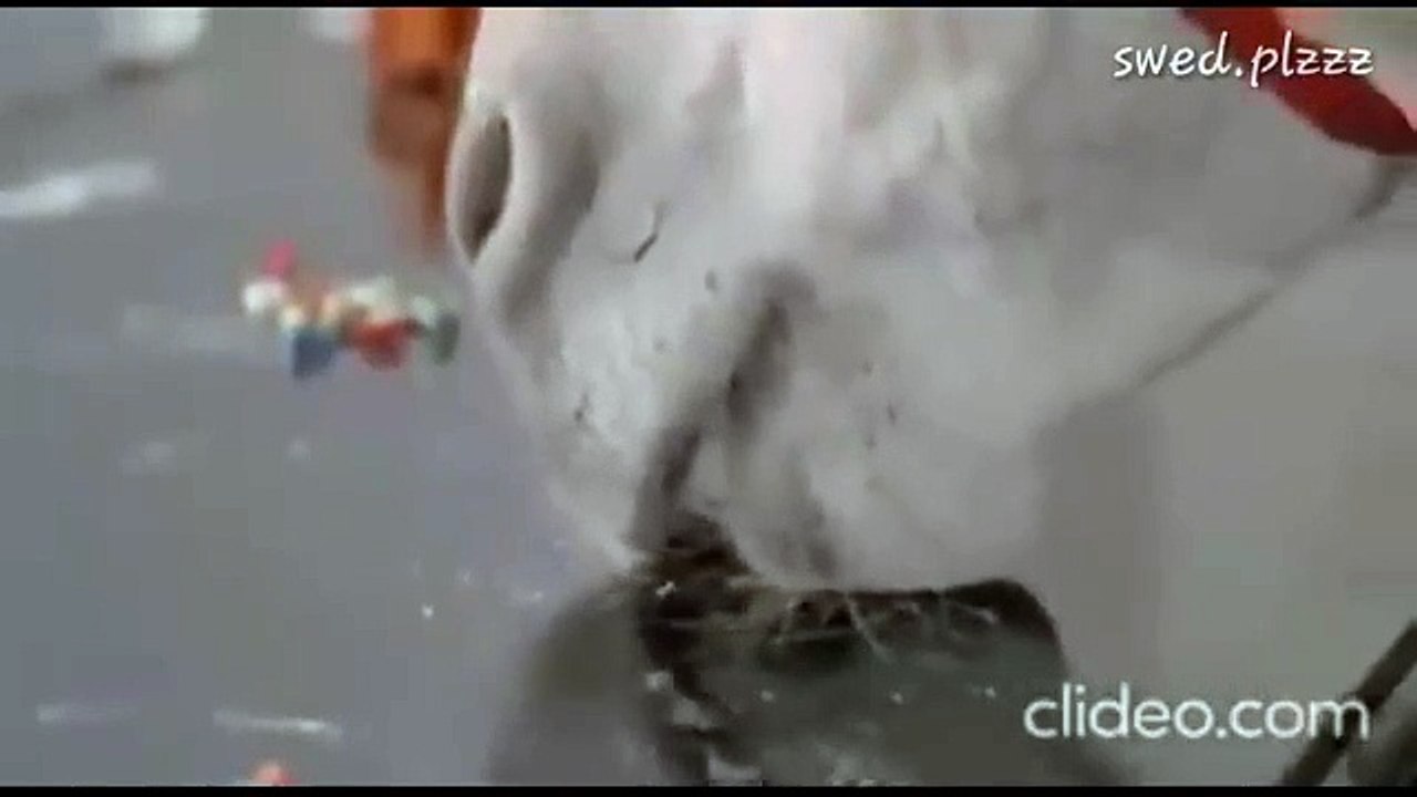 OMG! OMG!! OMGGGGGG!