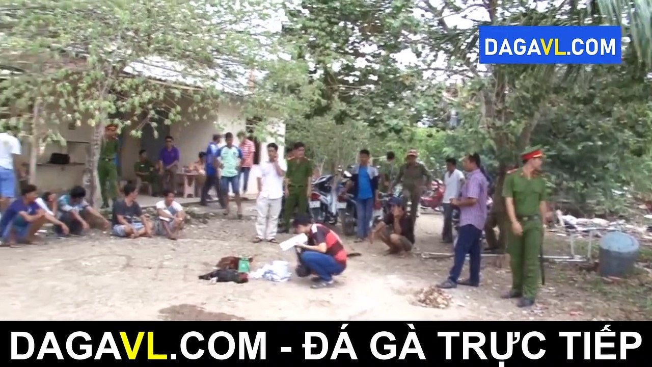 DAGAVL.COM - Bắt 11 đối tượng đá gà ăn tiền tại Thới Châu, đá gà trực tiếp, đá gà ăn tiền, đá gà thomo, đá gà campuchia