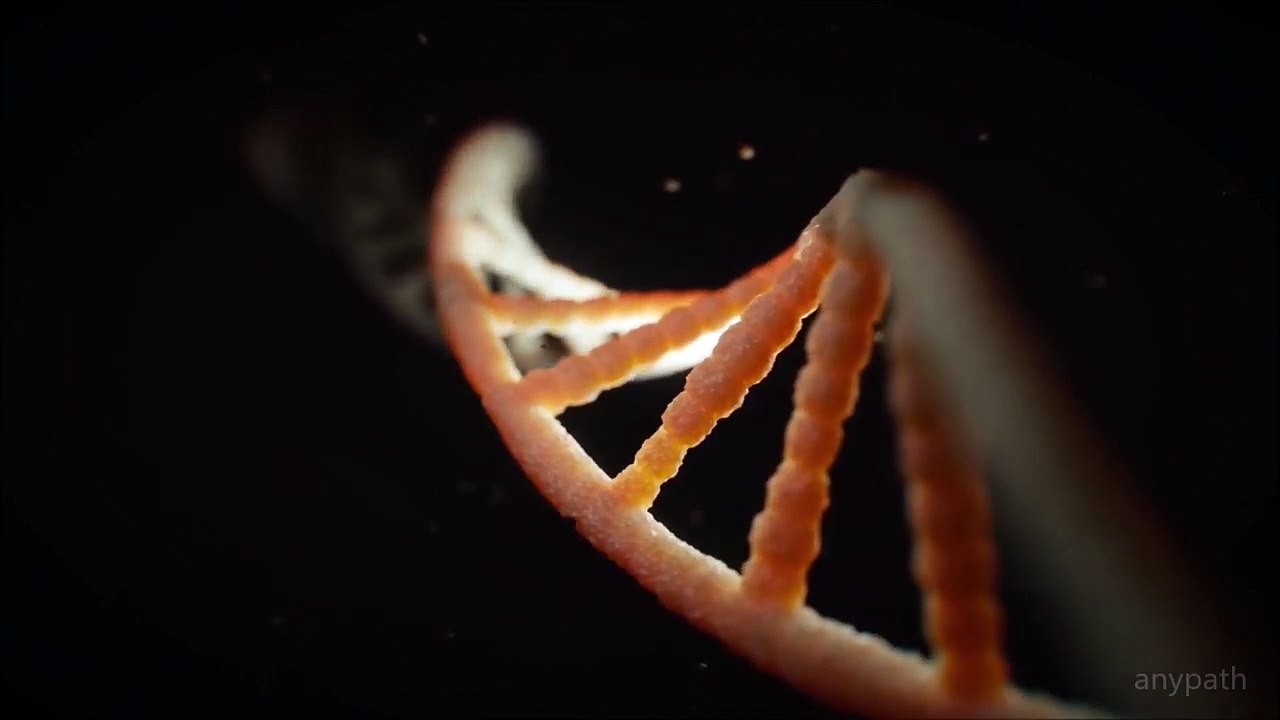 Tool - Pneuma Live ( Best Live Version)