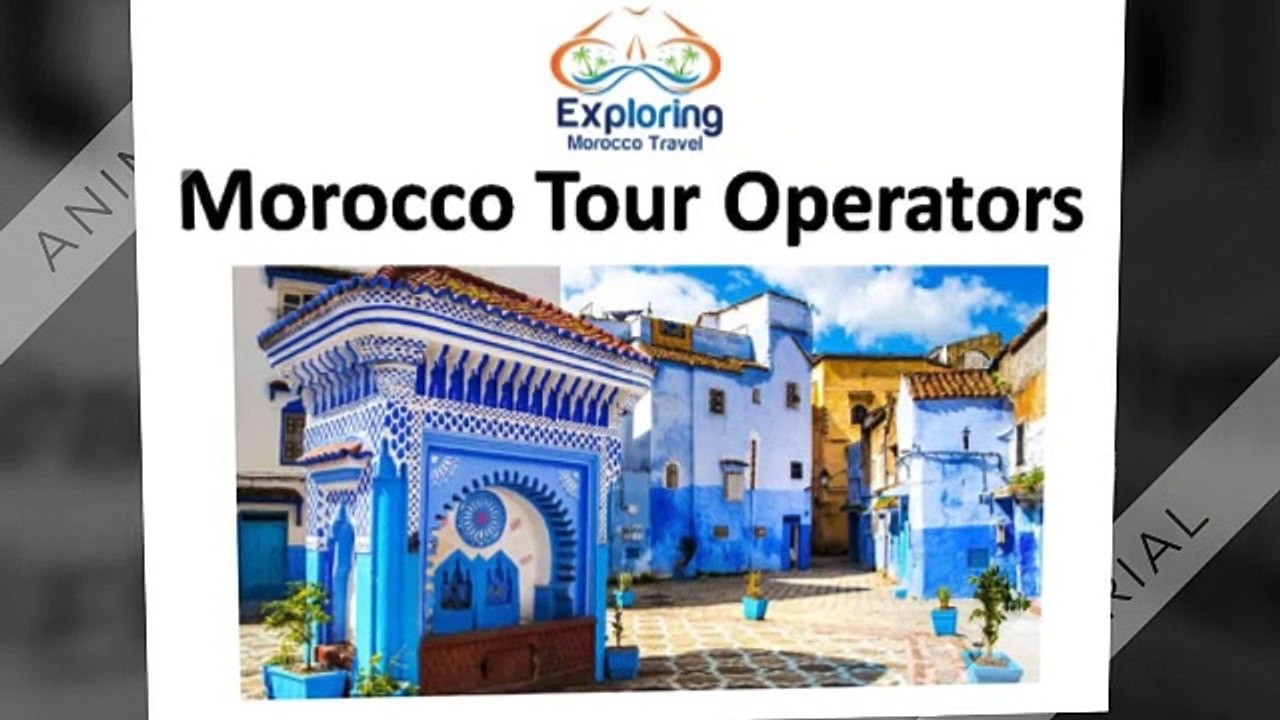 Discover Morocco with Expert Tour Operators 🌍