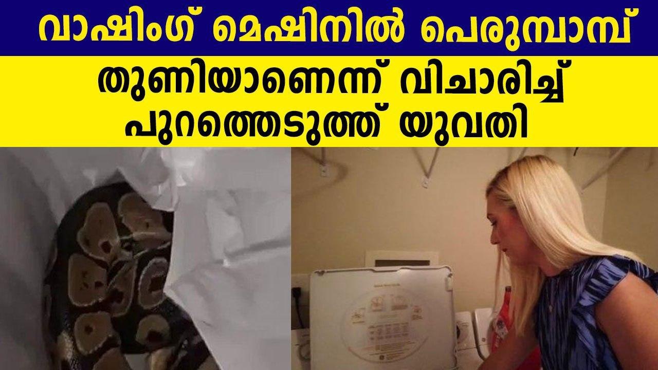 Florida Woman Finds Python In Washing Machine | Oneindia Malayalam