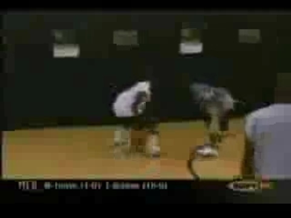 AO Mixtape & More Videos on My Site 🎥