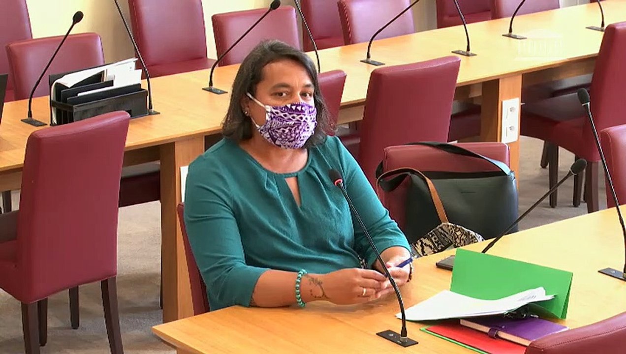 Emergence et Ă©volution des diffĂ©rentes formes de racisme : M. Michel Tubiana (Ligue des droits de lâHomme) et M. Mario Stasi (Ligue internationale contre le racisme et l'antisĂ©mitisme) - Mardi 15 septembre 2020