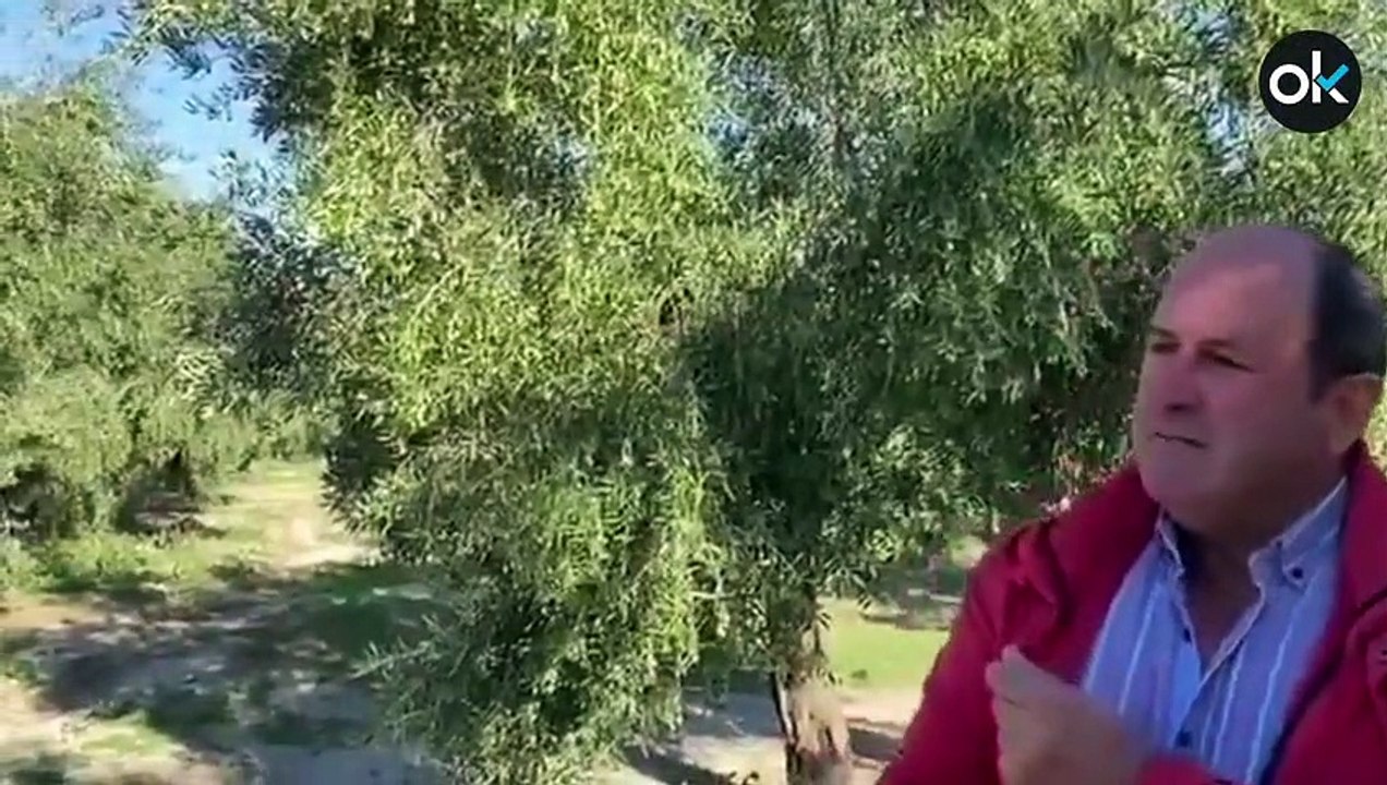 Un agricultor andaluz humilla al ministro Planas: "¿Pero usted no sabe que cobramos lo mismo que hace 20 años?"