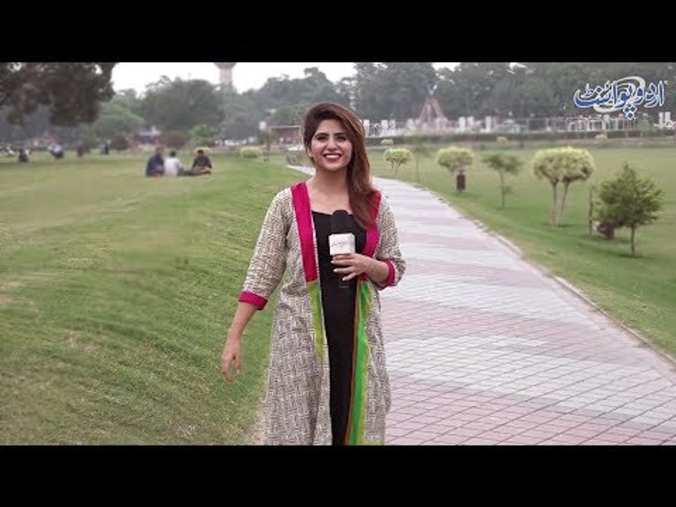 What is the Urdu meaning of commonly used English words?