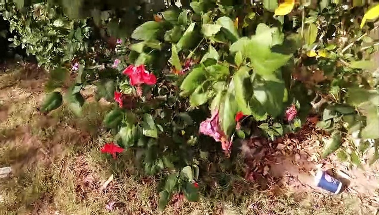 DEPARTMENT OF PUBLIC ADMINSTRATION