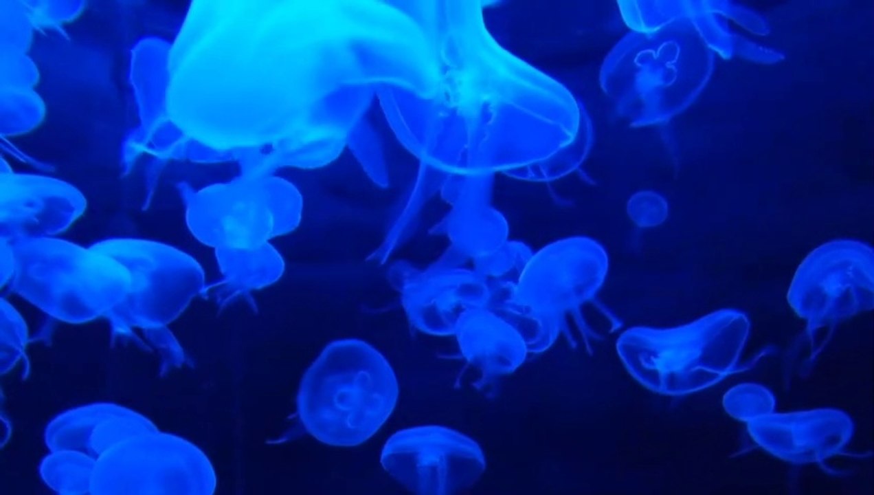 Bangla choti golpo/ বাংলা চটি গল্প/ রোমান্টিক গল্প/ ১৮+ গল্প