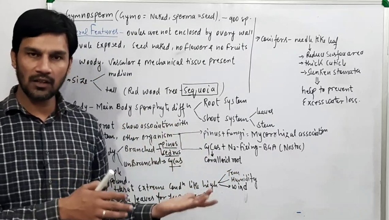 Gymnosperms Part-1 General Features